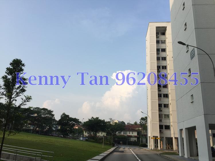 Blk 220 Petir Road (Bukit Panjang), HDB 3 Rooms #88819662